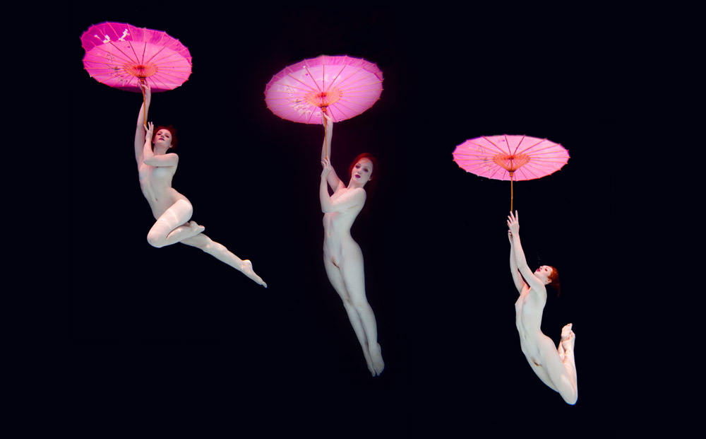 Ivory Flame by Chris Meredith Ivory Flame Underwater Parasol 2 1000 Sydney Underwater