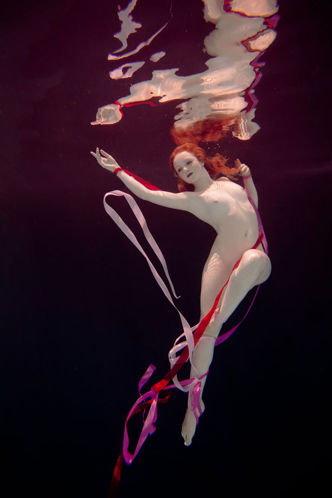 Ivory Flame by © Chris Meredith Sydney Underwater