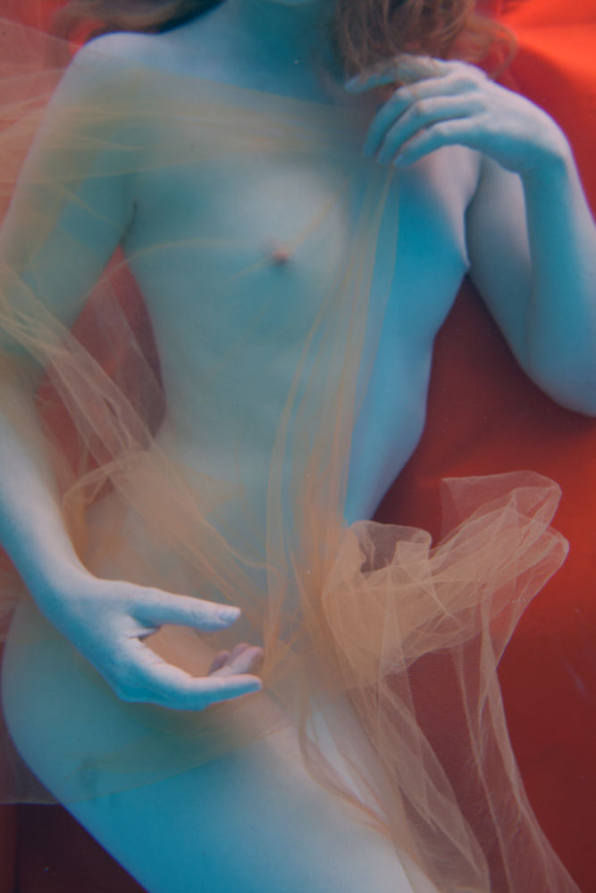 Ivory Flame by Chris Meredith Ivory Flame close 3 Sydney Underwater