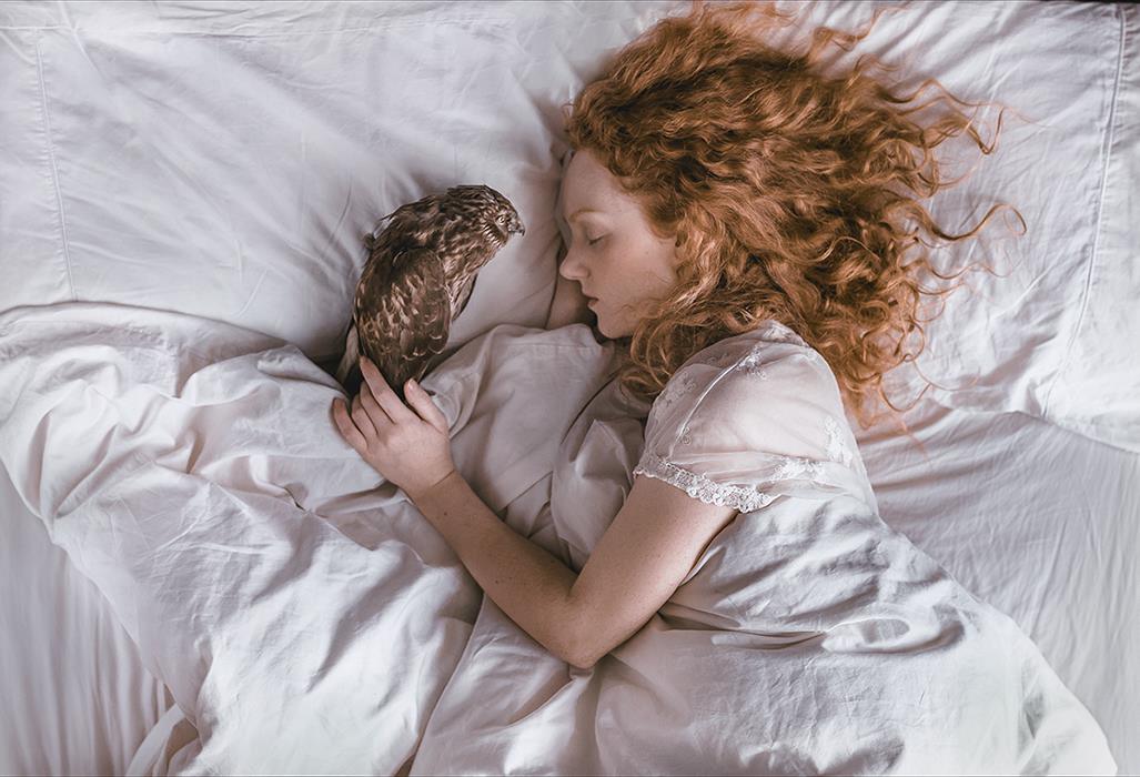 Ivory Flame by donatas za ivory flame bird sleeping  Time-traveller