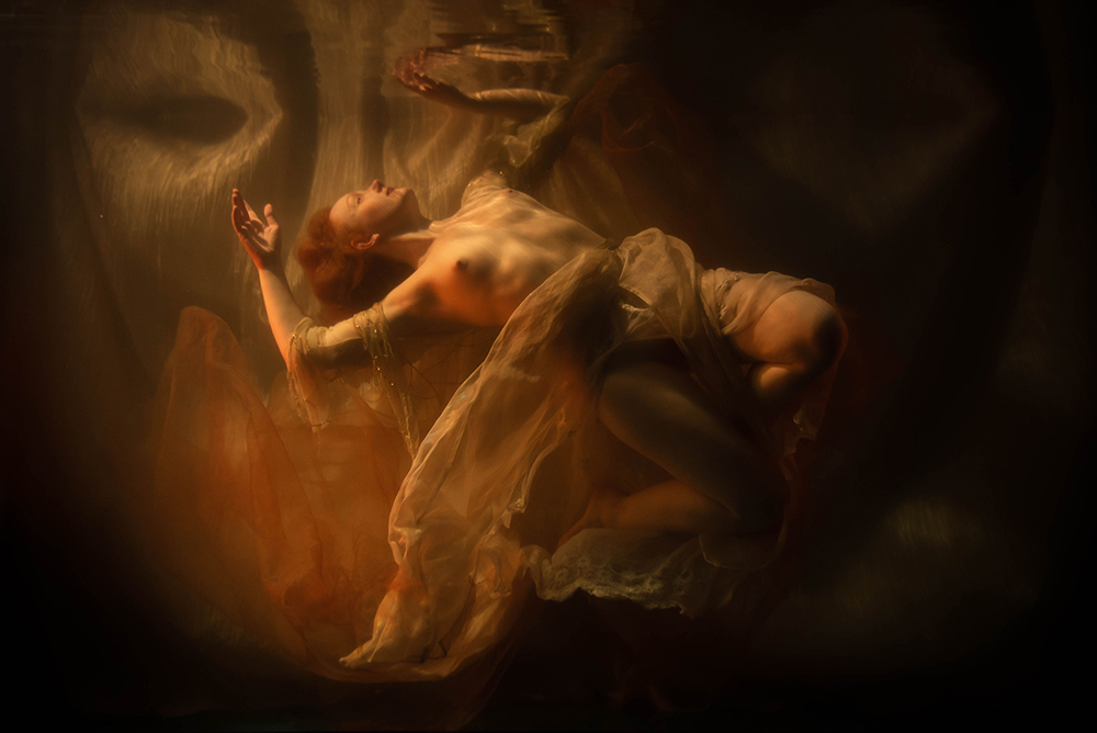 Ivory Flame by Leigh Fitzpatrick Ivory Flame Tankspace Golden Underwater 1000 Tankspace Underwater