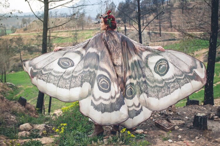 Moth Wings