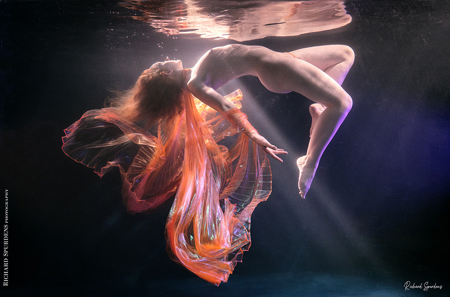 Ivory Flame by Richard-Spurdens-Ivory-Flame-Tankspace-Jan-2022-1-ed-900  Underwater