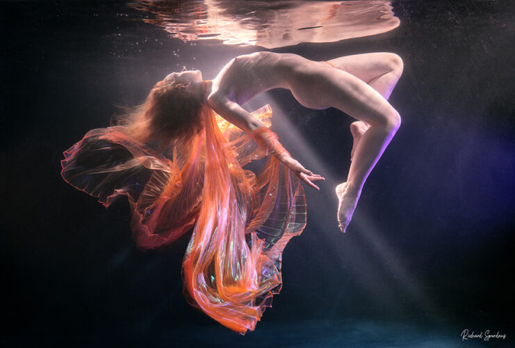 Orange Shimmering Wings