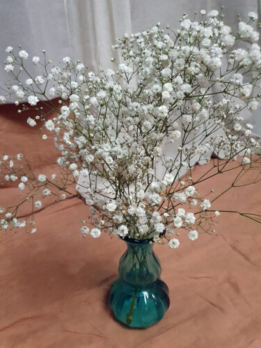 Gypsophila Flowers (in a vase or to hold)